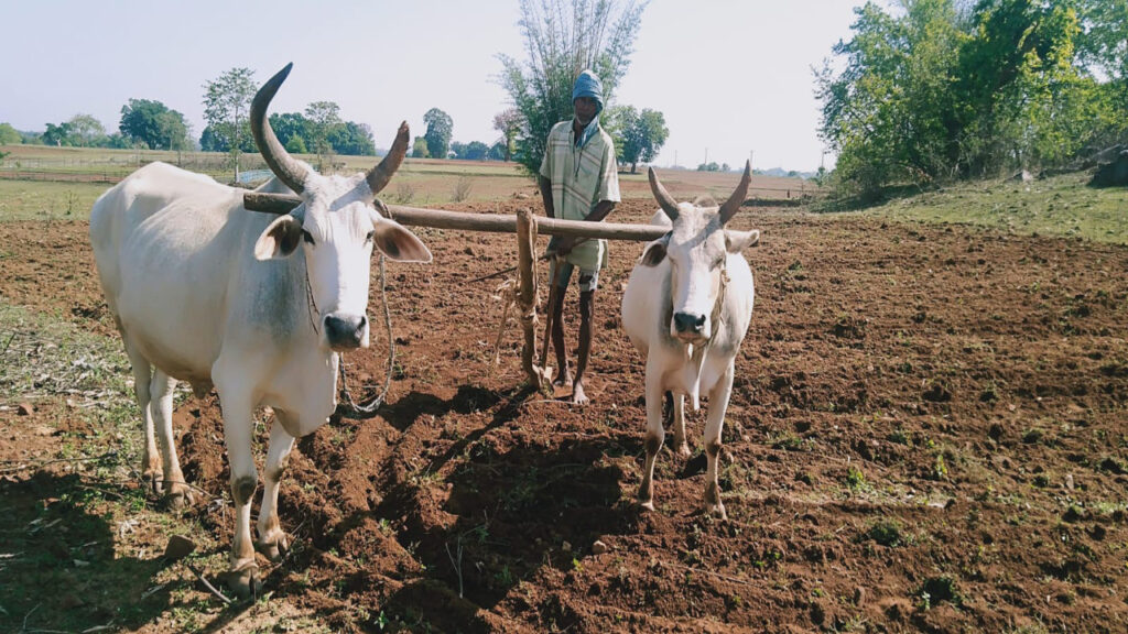 Jharkhand Kisan Samriddhi Yojana