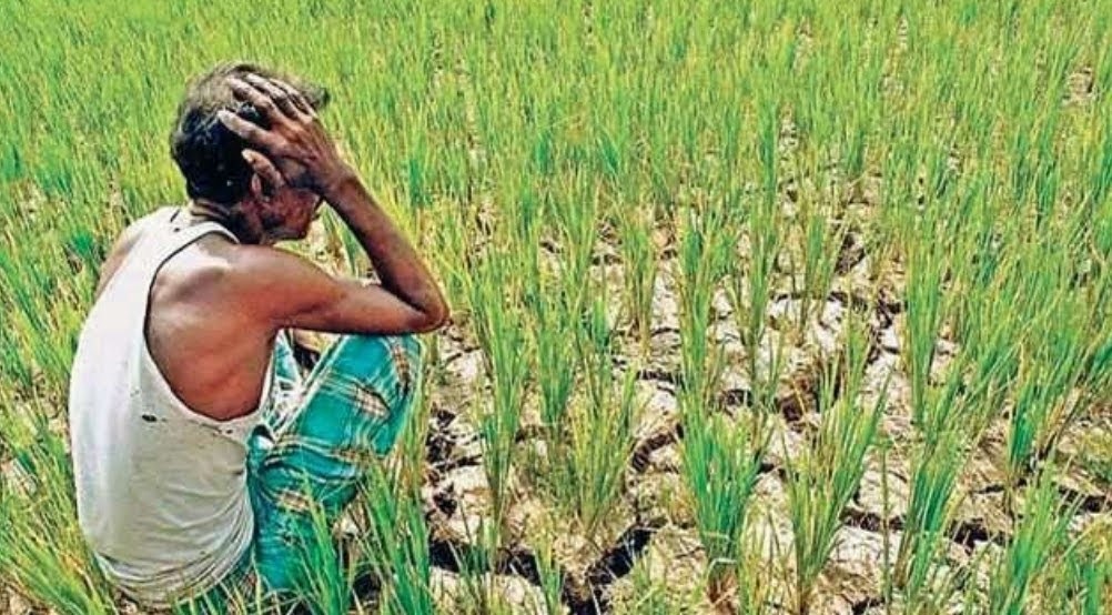 Rajsthan kisan karz mafi yojana