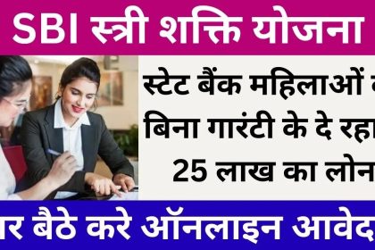 SBI Stree Shakti Yojana Apply Online