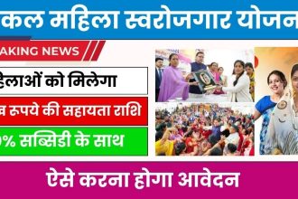 Uttarakhand ekal mahila swarojgar yojana