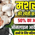 Mushroom Farming Subsidy Scheme Apply Online