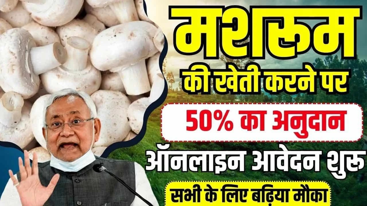 Mushroom Farming Subsidy Scheme Apply Online