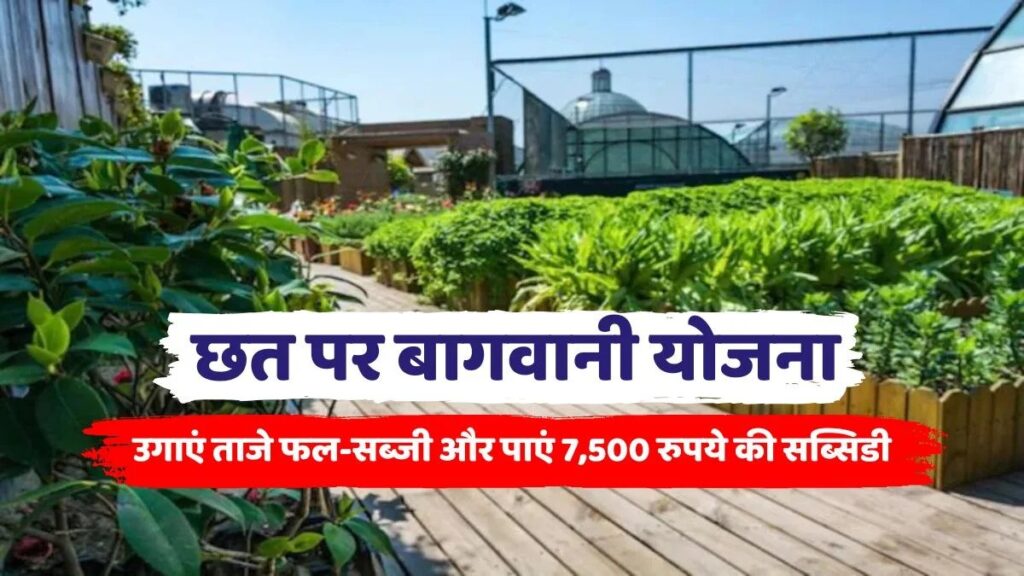 Bihar Rooftop Gardening Scheme Apply Online