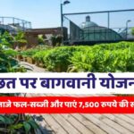 Bihar Rooftop Gardening Scheme Apply Online