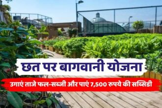 Bihar Rooftop Gardening Scheme Apply Online