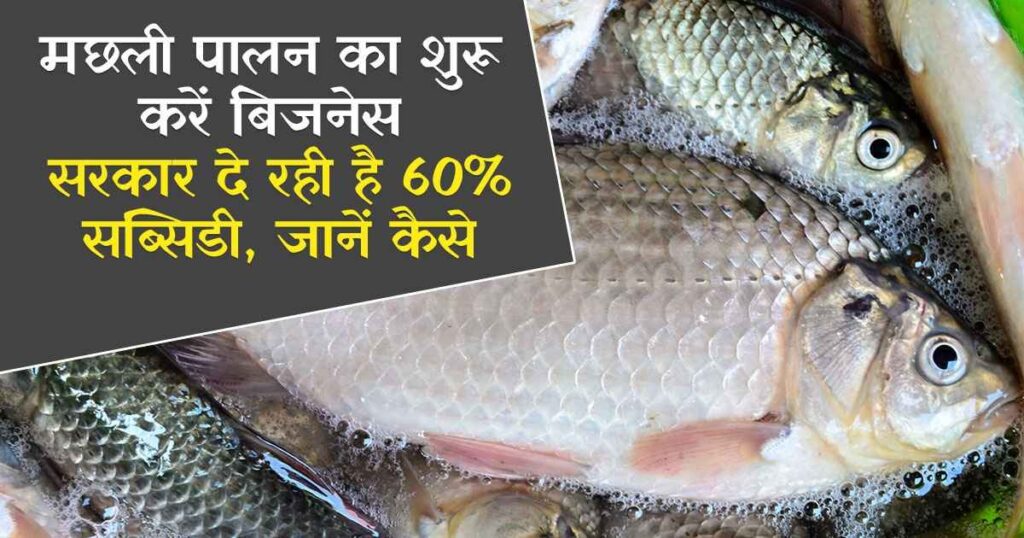 Fish Farming Scheme Apply Online