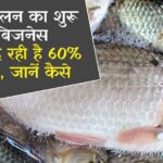 Fish Farming Scheme Apply Online