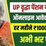 UP Vridha Pension Form Download