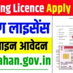 How To Online Apply For Learner License