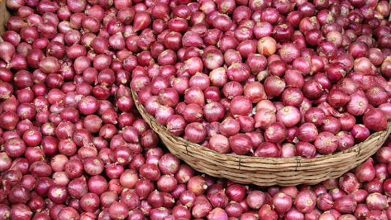 Onion-Storage-Scheme-Benefits-Apply-Online