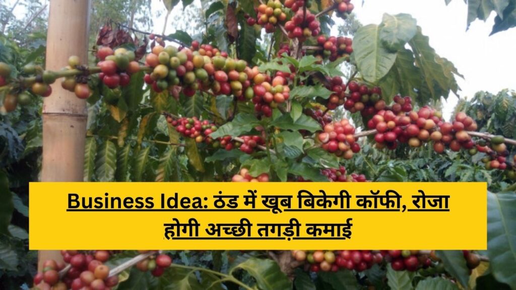 coffee farming business ideas