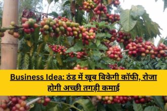 coffee farming business ideas