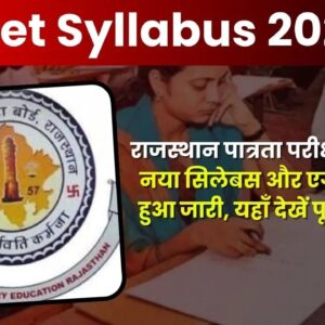 rajasthan reet syllabus